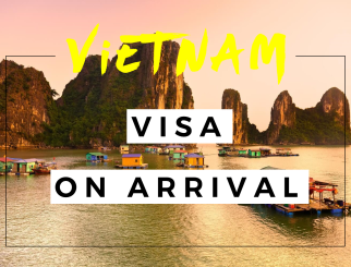 (中文) 越南緊急電子簽證服務2023年 （旅遊簽證）